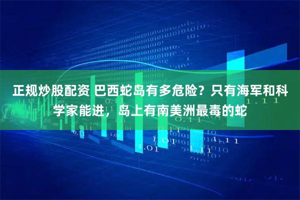 正规炒股配资 巴西蛇岛有多危险?只有海军和科学家能进,岛上有南美洲最毒的蛇