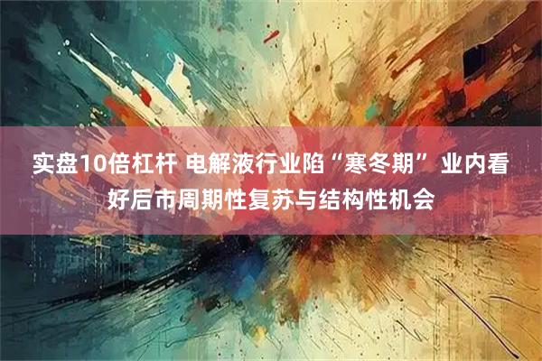 实盘10倍杠杆 电解液行业陷“寒冬期” 业内看好后市周期性复苏与结构性机会