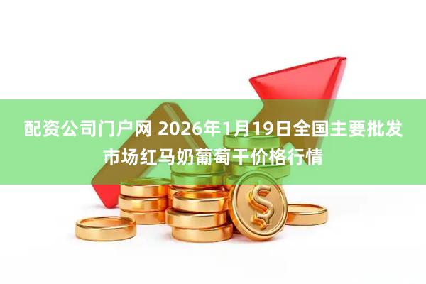 配资公司门户网 2026年1月19日全国主要批发市场红马奶葡萄干价格行情
