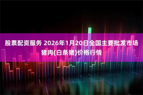 股票配资服务 2026年1月20日全国主要批发市场猪肉(白条猪)价格行情