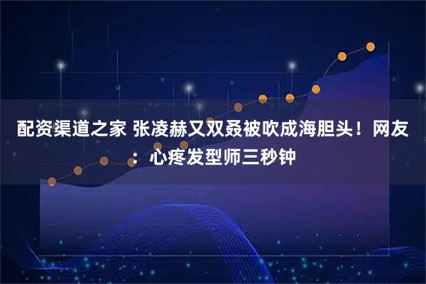 配资渠道之家 张凌赫又双叒被吹成海胆头！网友：心疼发型师三秒钟